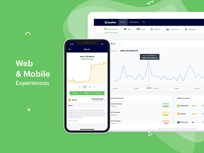 Busha - Web and Mobile Experience