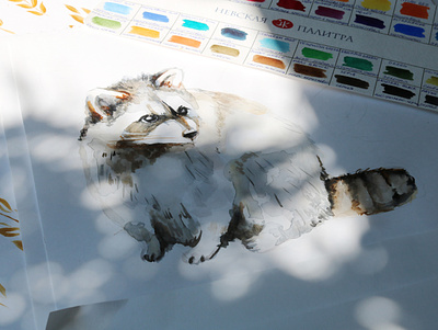 Raccoon. Watercolor illustration. background beautiful color design fast illustration nice paint raccoon raccoons sketch