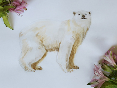 White bear art bear beautiful design illustraion sketch watercolor