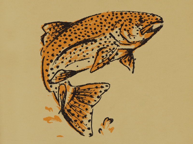 Brown Trout charcoal apparel fishing texas illustration fish trout