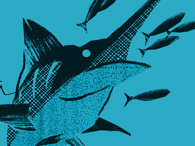 Marlin apparel bait baitfish outdoors branding costa del mar fishing illustration marlin pattern shirt texture typography