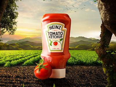 Heinz | Grown not made food advertising heinz ketchup manipulation nature perspective retouching