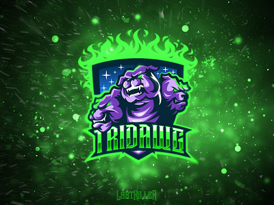 Tridawg branding esports gaming illustration logo mascot sports team