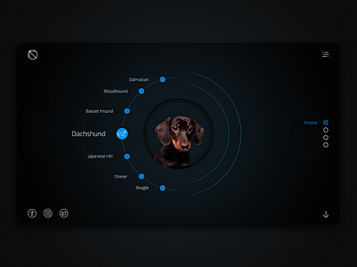 Descktop App app descktop dog hunting ui ux web