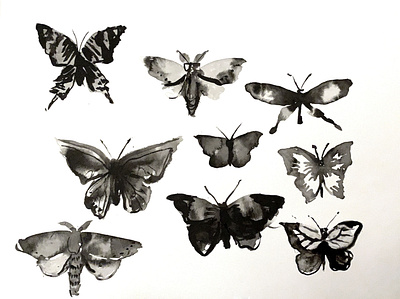 Specimens black and white illustration ink inktober2019