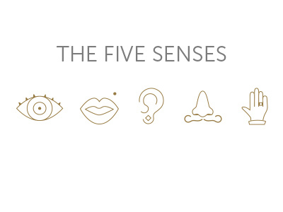 The five senses 5 chique five gold hear manners see senses smell taste touch