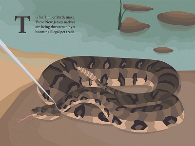 Timber Rattlesnake Endangered Poster