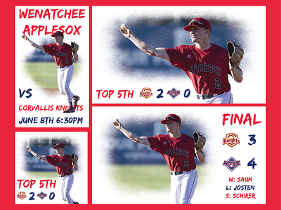 Wenatchee AppleSox Design Package Demo