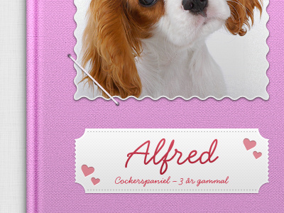 Pink dogbook cover book photo ui web