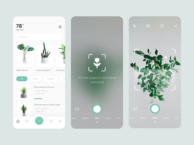 Plant Recognition - APP app design plants typography ui