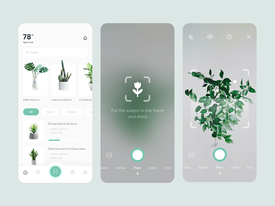 Plant Recognition - APP app design plants typography ui