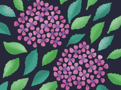 hydrangea アジサイ flower flower illustration illustration illustration art ipadpro painting procreate イラスト スケッチ