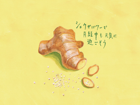 Ginger Illustration 生姜と岩塩のイラスト By Mikiko Watanabe Design