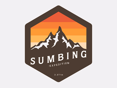 Mount Sumbing badge branding flat graphicdesign icon illustration logo vector