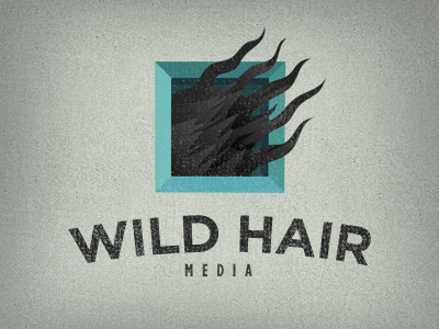 Wild Hair Media black blue box brand frame gotham grunge hair logo vintage