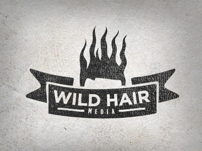 Take Two brand gotham grunge hair logo paper ribbon texture vintage
