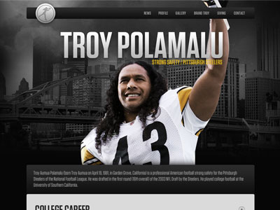 Troy43.com / Profile athlete city dark football hair nfl pittsburgh sports steelers tungsten website