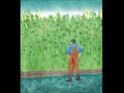 Hemp Farmer editorial illustration farmer hemp south carolina