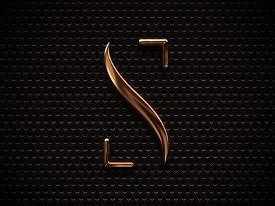 S icon logo