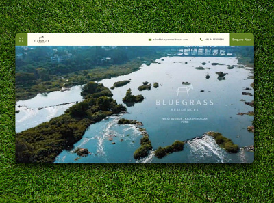 Bluegrass clean design illustration interaction design responsive design ui design uiux ux web web design