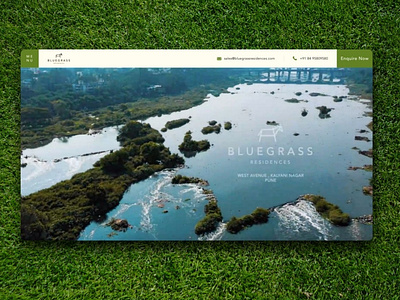 Bluegrass