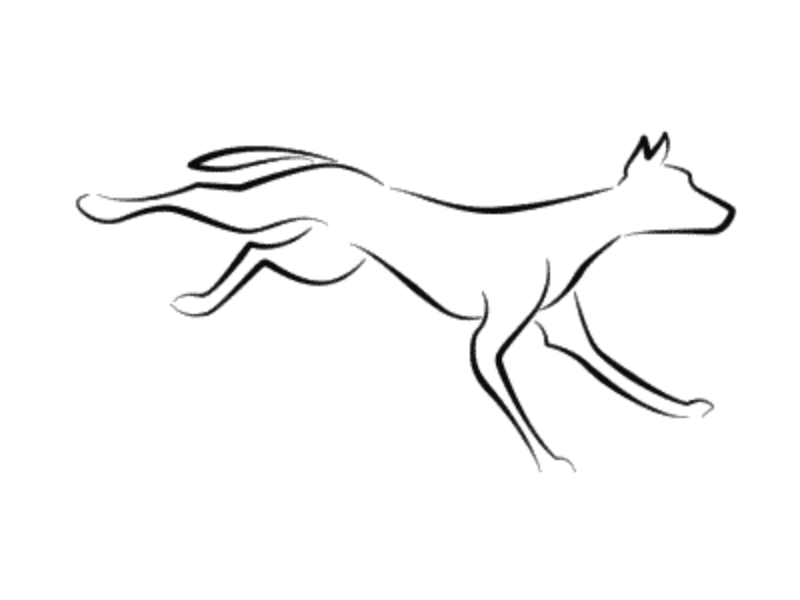 GIF animation. Frame by frame. animal animation black white dog drawing drawing ink frame by frame hand drawn illustration motion motion graphics running dog sketch