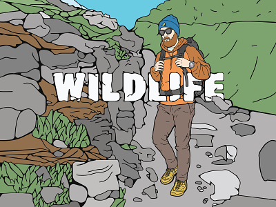 WILDLIFE adventure branding color colorful design drawing graphic design hiking hobby illustration illustrator lettering logo nature poster typography vector wildlife