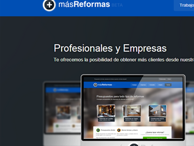 Web Profesional design web