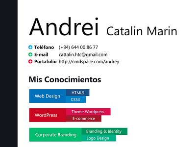 CV andrey example cv design example simple