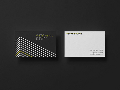 APSG Business Cards branding business cards graphic design logo design