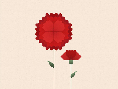 Flower Carnation carnation design flower illustration illustrator nature plant simple illustration