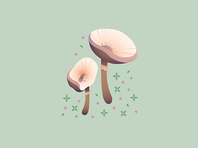 Mushroom design flower graphic illustration leaf mossdays mushroom nature nature illustration plant plant illustration simple illustration