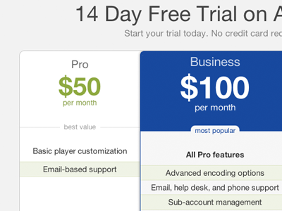 Viddler Pricing Page pricing table website