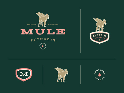 Mule Extracts - Branding animal badge branding cannabis cannabis branding cannabis logo color palette design emblem extract extracts green illustration logo mark mule oregon portland type wings