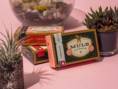 Mule Extracts - Packaging badge box branding cannabis cannabis logo cannabis packaging design emblem extracts logo mule oregon packaging pdx portland type typography