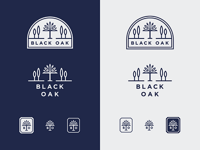 Black Oak art brand brand design brand identity branding branding design design identity logo oak oak tree pottery