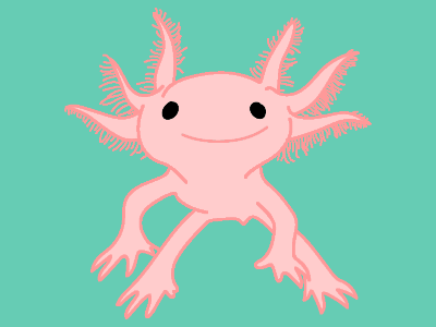 Axolotl axolotl