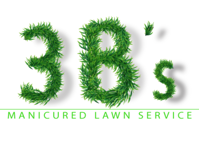 3B's Lawn Service branding design logo vector