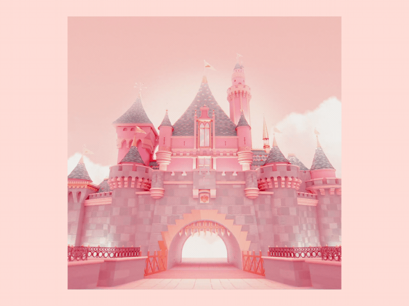 Disneyland Birthday Loop | Castle