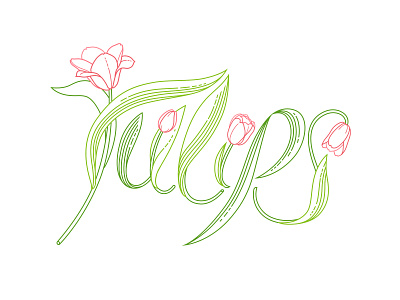 Tulips Lettering branding floral illustration floral lettering flowers illustration graphic design lettering line art line art lettering logo outline spring springtime tulip tulips womens day