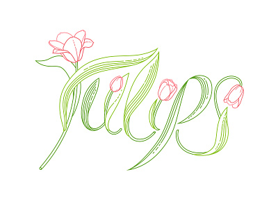 Tulips Lettering