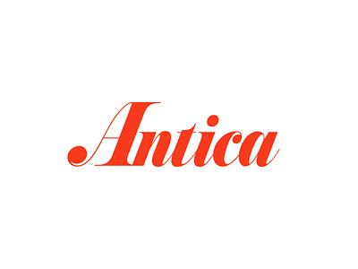 Antica Logo brand brand design brand identity branding branding design creative direction design illustration logo logo design logodesign logos logotype typography