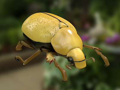 Beetle 3d arnold c4d insect