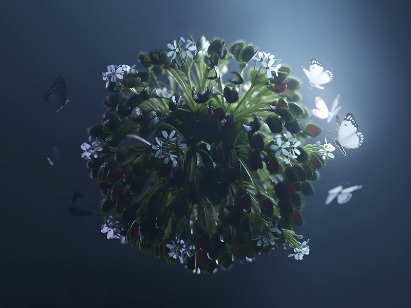 Butterfly Venus Flytrap by Esli Becerra on Dribbble
