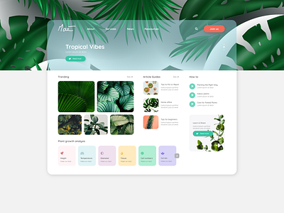 Website concept UX