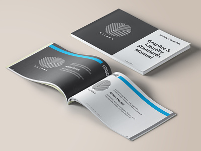 Graphict Standart Manual fo business brochure brochuredesign businesscardsdesign design poster