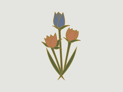 Tulips flowers tulips