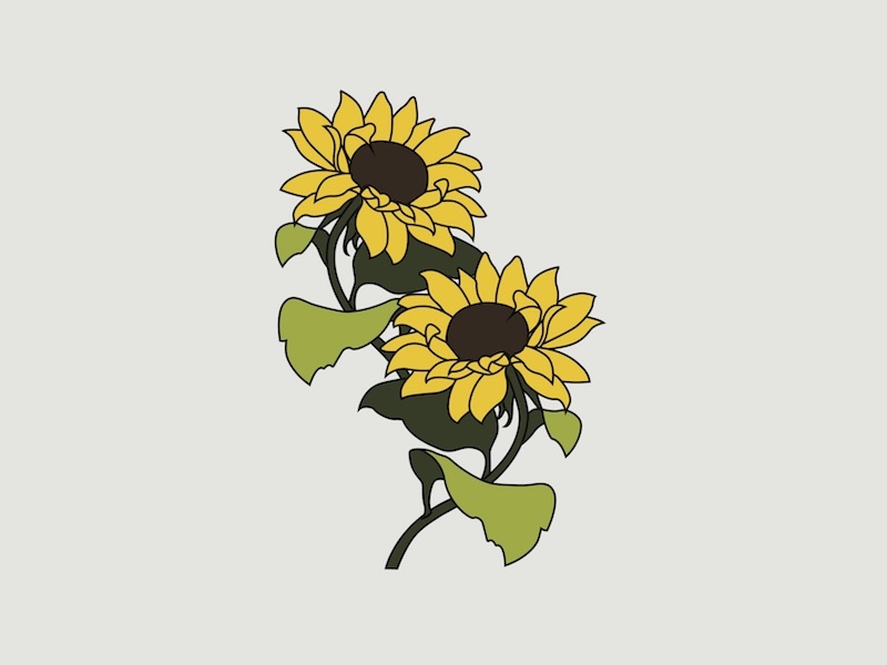 Watercolor Beautiful Sunflower Drawing Vertical Background. Generative AI.  24342903 Stock Photo at Vecteezy