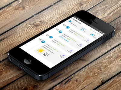 Life Manager iphone schedule task manager