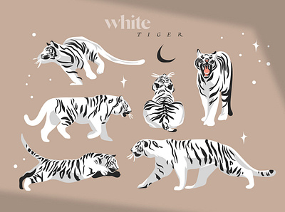 White tiger abstract adobe draw animals art cartoon celestial character design design digital art drawing flat graphic graphic design illustration ipad pro logo procreate tiger vector vectorart